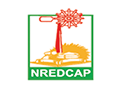NREDCAP Business Logo